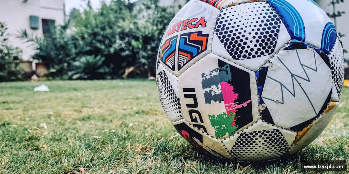 解读XK·星空(体育中国)